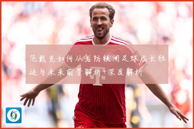 范戴克如何从后防铁闸足球成长轨迹与未来前景解析-深度解析