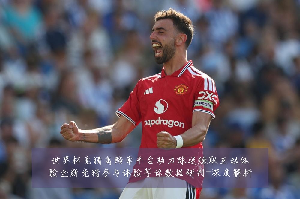世界杯竞猜高赔率平台助力球迷赚取互动体验全新竞猜参与体验等你数据研判-深度解析